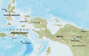 Kode Plat Nomor daerah Maluku dan Papua