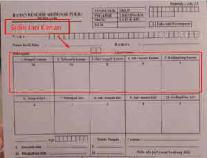 Formulir sidik jari kanan kiri SKCK